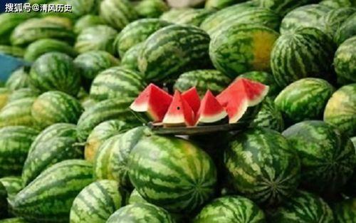 吃瓜网官网首页,揭秘娱乐圈最新动态，带你畅游八卦海洋